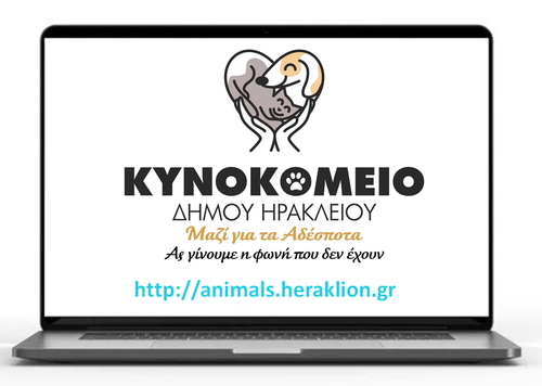 Νέα ιστοσελίδα και social media για τις υιοθεσίες αδέσποτων ζώων στον Δήμο Ηρακλείου