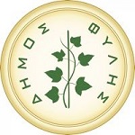 fyli logo